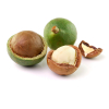 Macadamia plant olie, biologisch