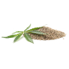 Hennepzaad plant olie, biologisch