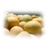 Marula plant olie