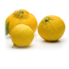 Bergamot etherische olie, biologisch 