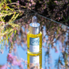 CEC Serum CO