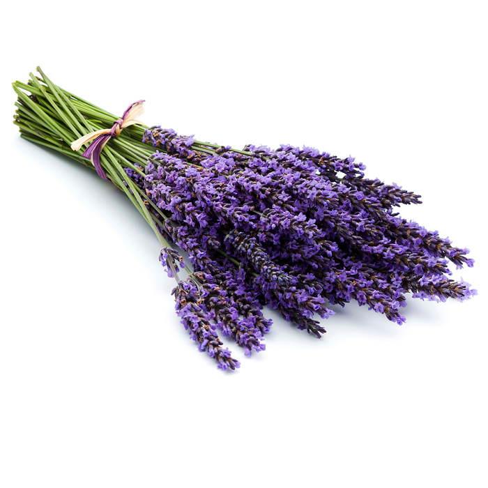 Lavendel CO2 extract select, biologisch