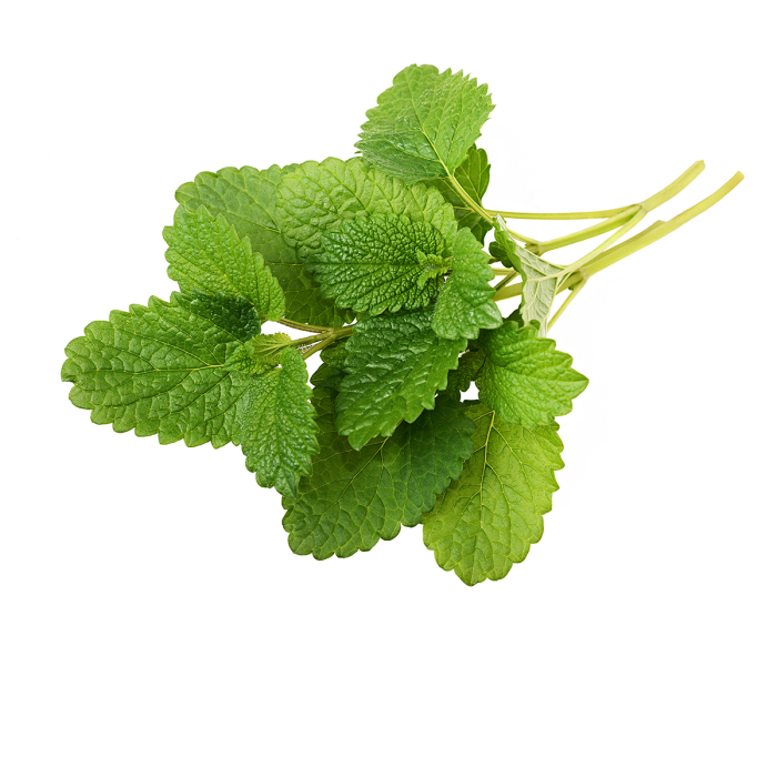 Melisse etherische olie, biologisch