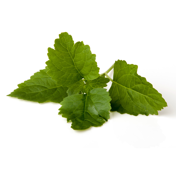 Patchouli etherische olie