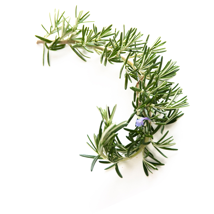 Rozemarijn kamfer etherische olie, biologisch