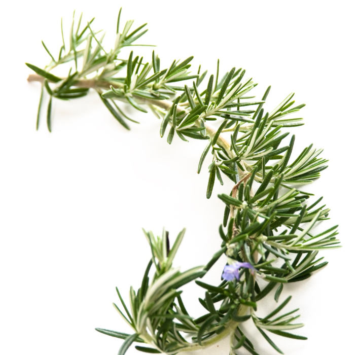 Rozemarijn hydrolaat, biologisch