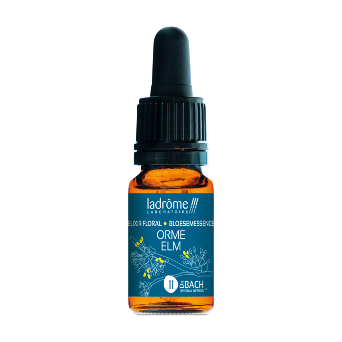 LaDrôme bachbloesem 11, Veldiep - Elm, biologisch