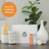 Diffuser Collection Giftset