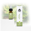 Heilige Basilicum etherische olie, biologisch