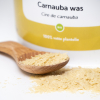 Carnaubawas, biologisch