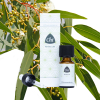 Eucalyptus citroen etherische olie