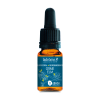 LaDrôme bachbloesem 11, Veldiep - Elm, biologisch