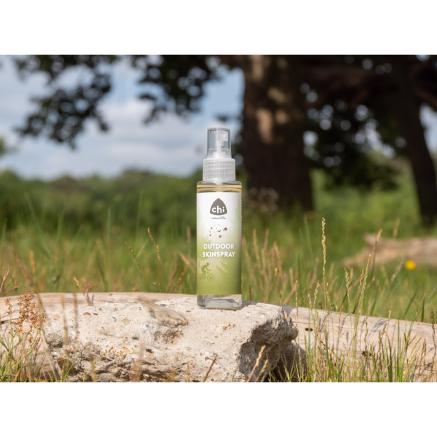 Display: Outdoor Essentials