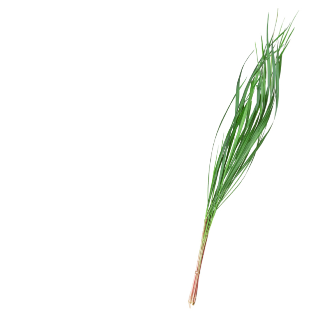 Citronella etherische olie
