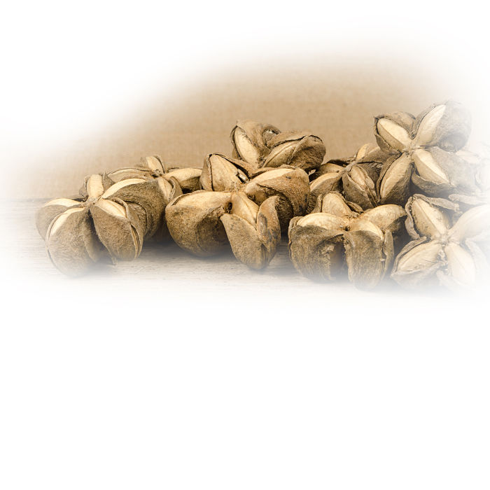 Sacha inchi plant olie, biologisch
