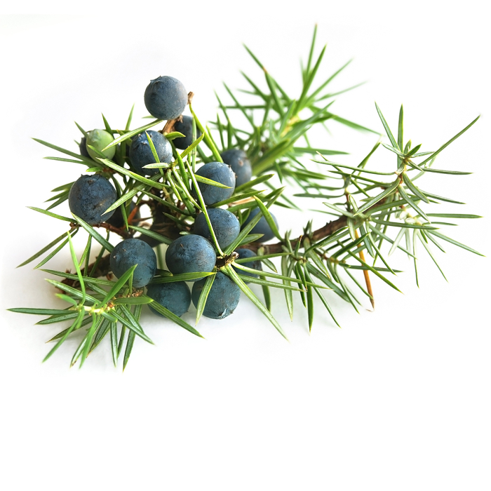 Jeneverbes, bes etherische olie, biologisch