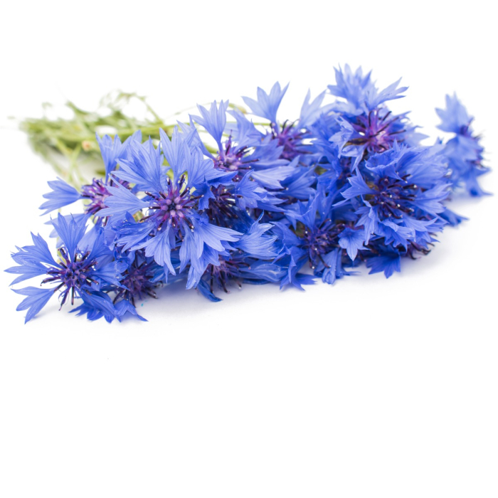Korenbloem hydrolaat, biologisch