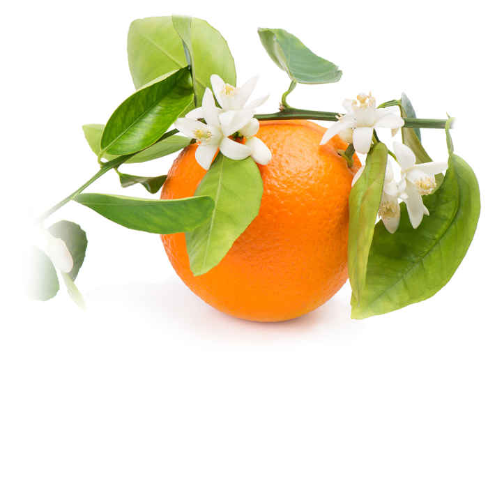 Oranjebloesem hydrolaat, biologisch