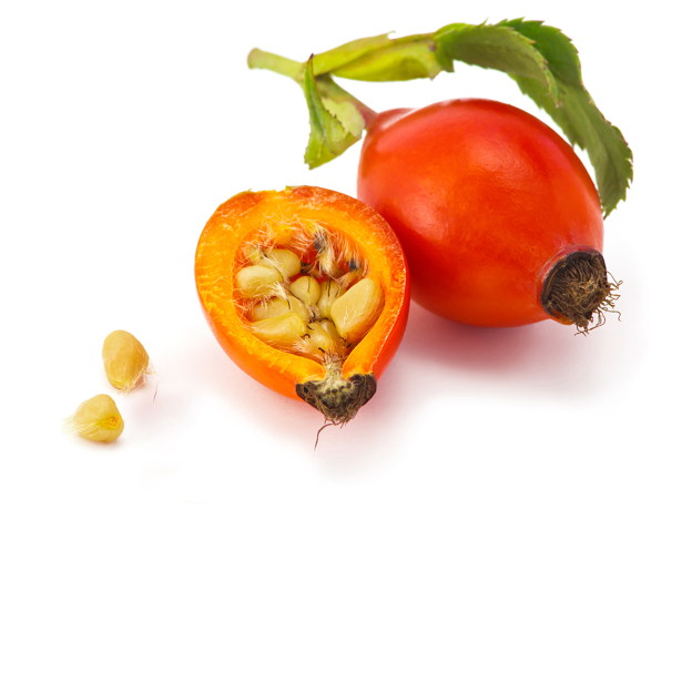Rozenbottelolie, biologisch