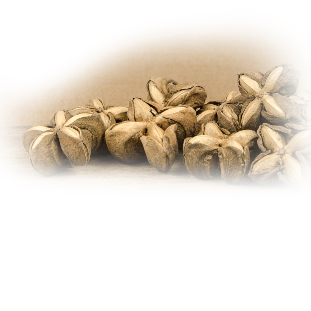 Sacha inchi plant olie, biologisch