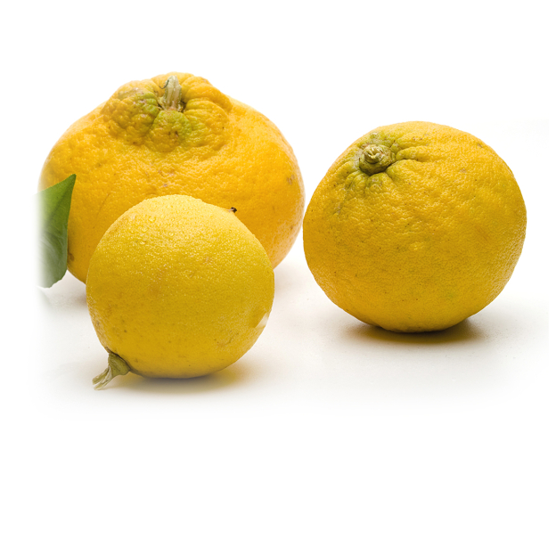 Bergamot etherische olie, biologisch 
