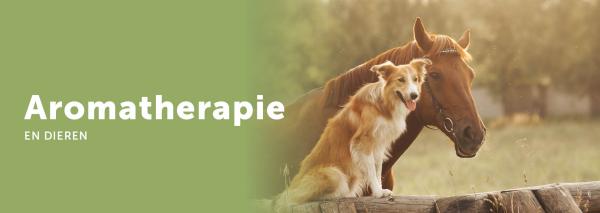 Aromatherapie & Dieren